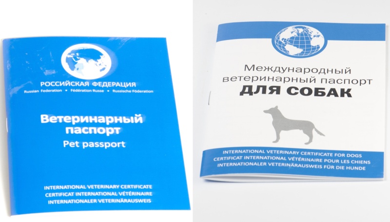 Паспорт собаки
